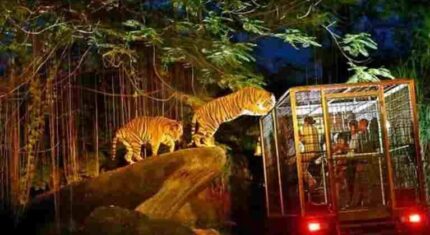 Dazzling Malaysia & Singapore 7 Days & 6 Nights