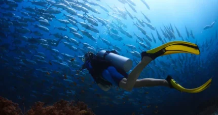 Furaveri Maldives- Extraordinary Maldives Vacay 5 Days & 4 Nights