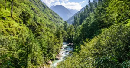 Shimla and Manali with Kullu 6 Days & 5 Nights