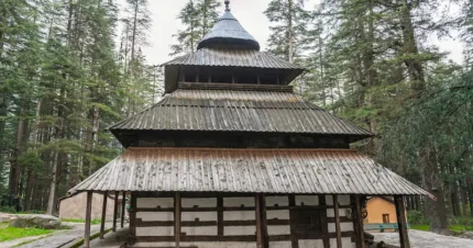 Luxurious Manali! 5 Days & 4 Nights