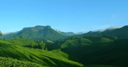 Family Holiday to Munnar & Alleppey 4 Days & 3 Nights