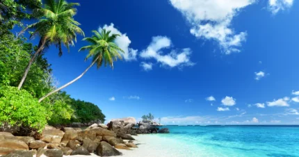 Snorkel Safari Seychelles 7 Days & 6 Nights