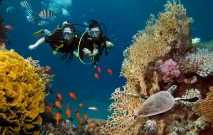 Mesmerizing Phu Quoc 6 Days & 5 Nights